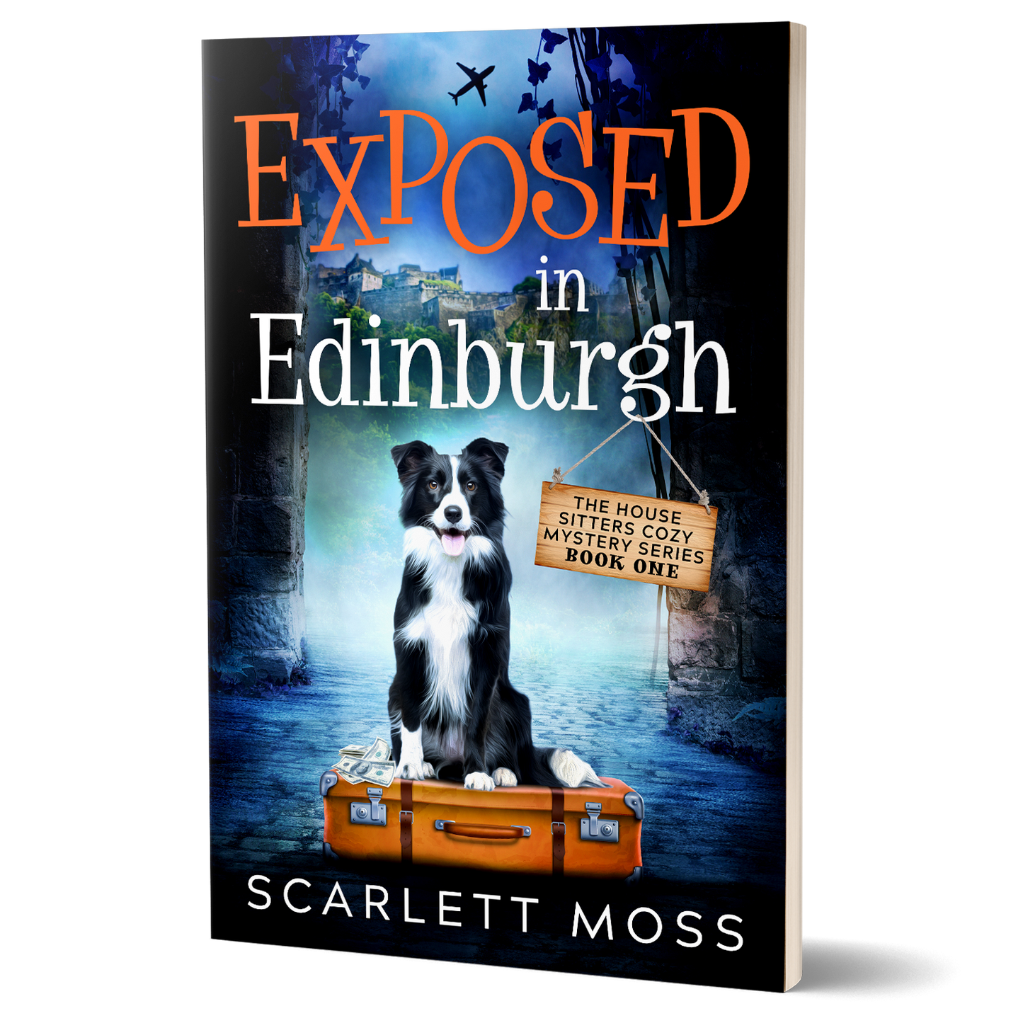 Exposed in Edinburgh: Book 1 of The House Sitters Cozy Mysteries (Paperback)
